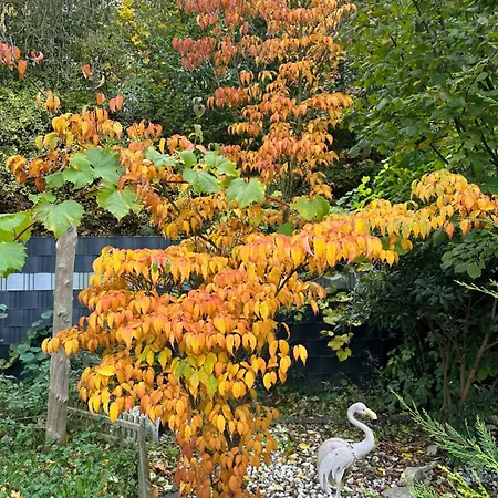 3 In Stadt Appartement